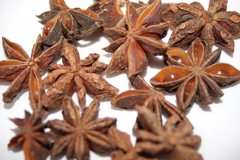 Parazol čaj protiv parazita